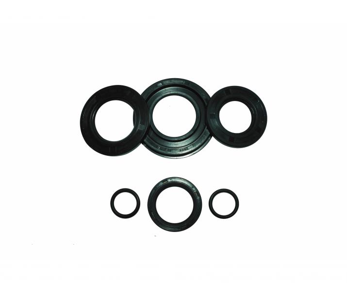 Serie Anelli Paraolio Motore SS 180
